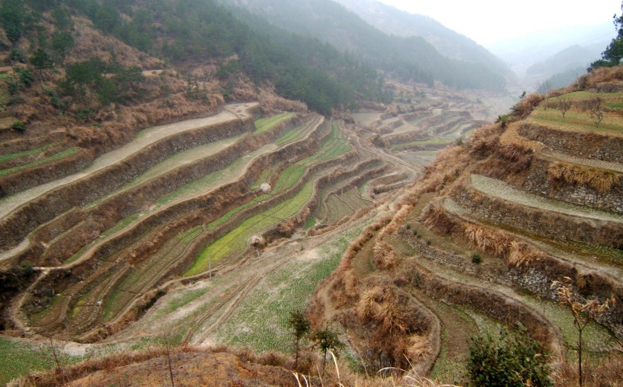 Mountainous county in E China lifts residents out of poverty by improving infrastructure and developing characteristic industries