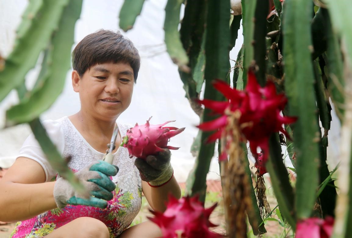 All-China Women's Federation lifts over 5 million women out of poverty in past 5 years