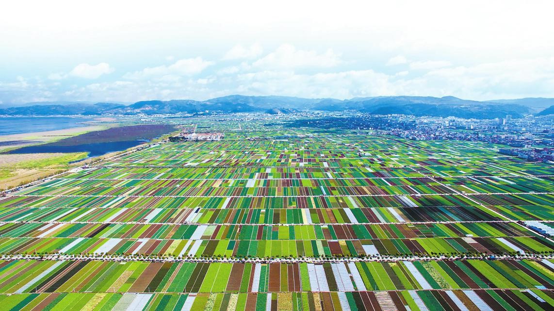 County in SW China makes a name for vegetable production