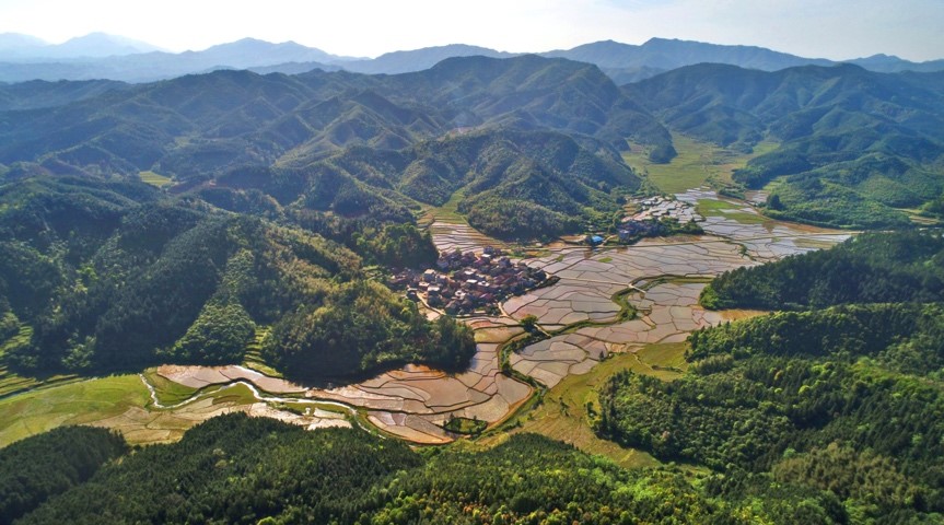 China to implement ‘forest chief’ scheme nationwide to protect forest, grassland resources