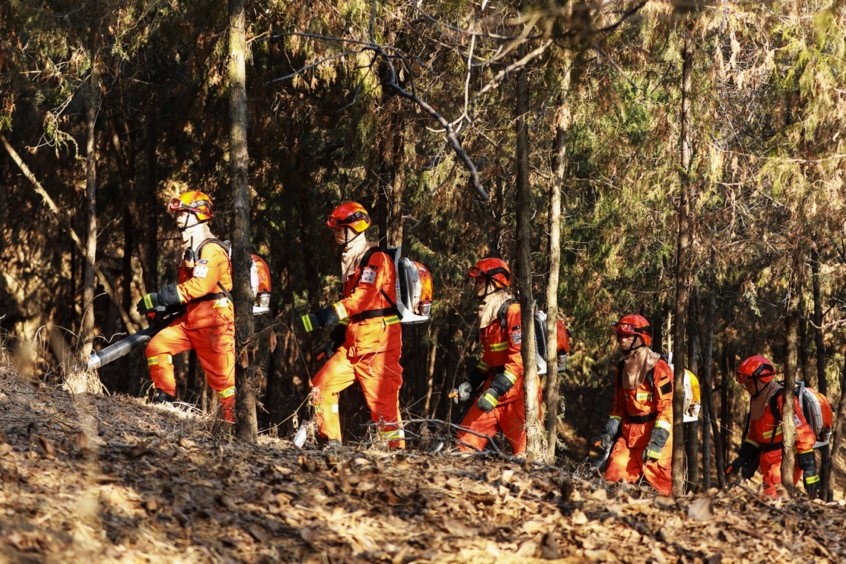 China to implement ‘forest chief’ scheme nationwide to protect forest, grassland resources