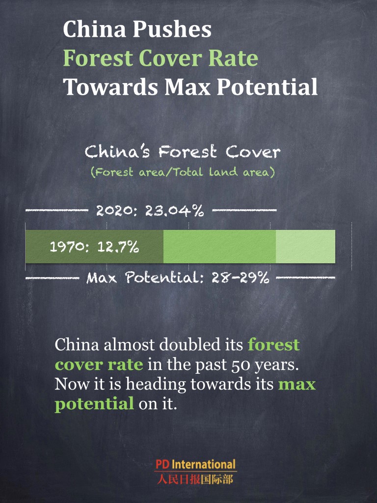 China's forest carbon reserve hits 9.2 billion tonnes