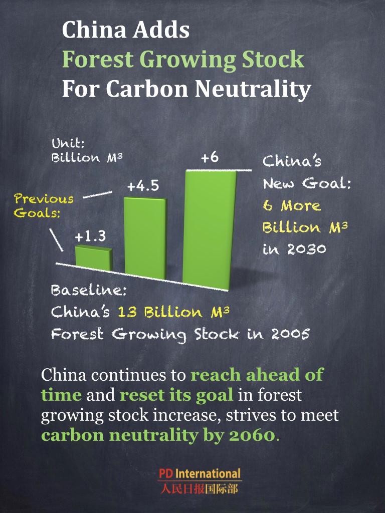 China's forest carbon reserve hits 9.2 billion tonnes