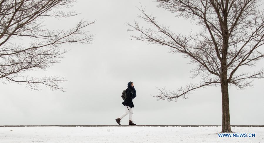 Winter storm hits U.S. Chicago area