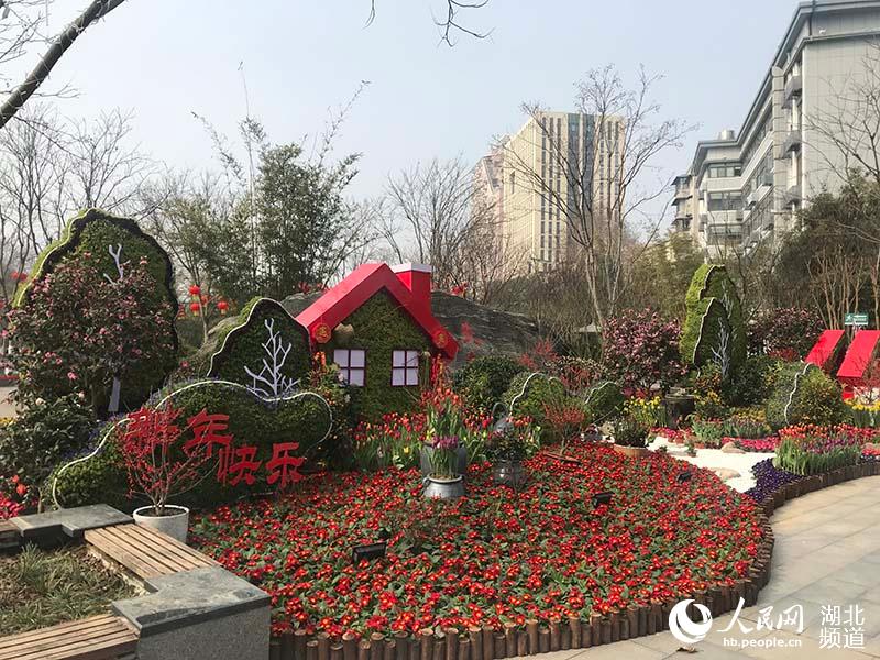 Flowerbeds set up in Wuhan for Spring Festival
