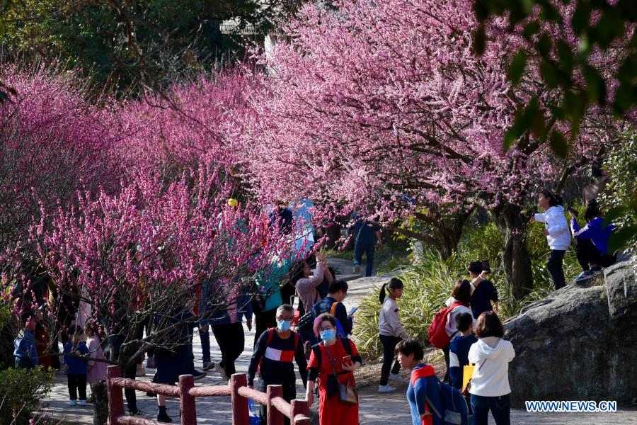 Visitors enjoy leisure time among cherry blossoms in Fuzhou