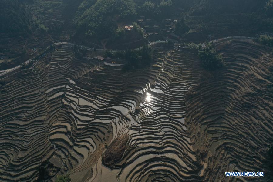 Scenery of terraced fields in Zhejiang