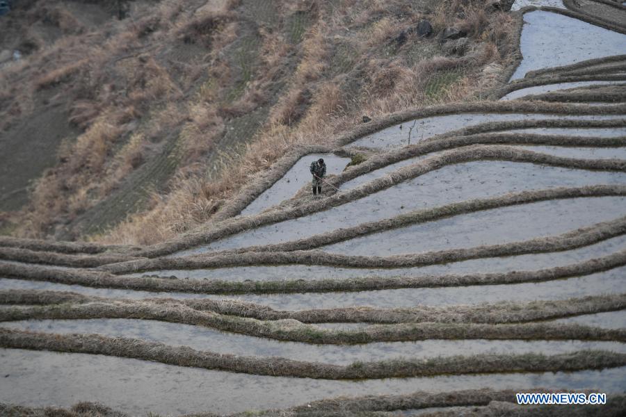 Scenery of terraced fields in Zhejiang