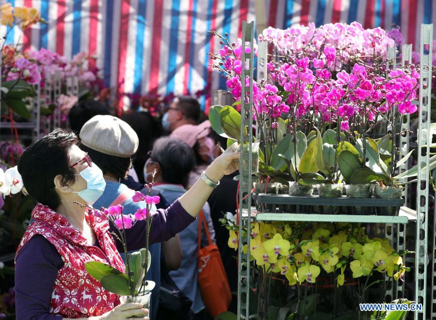 Hong Kong scales down Lunar New Year flower trade amid pandemic