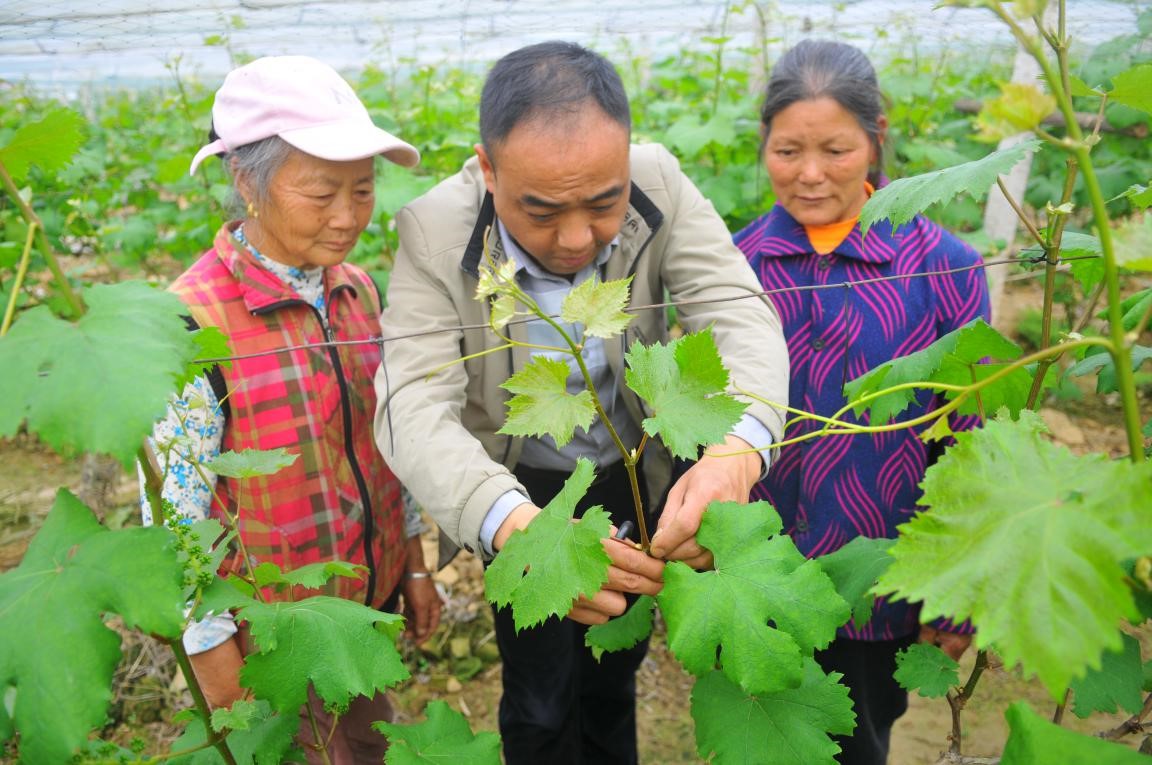 China advances technology-led poverty reduction