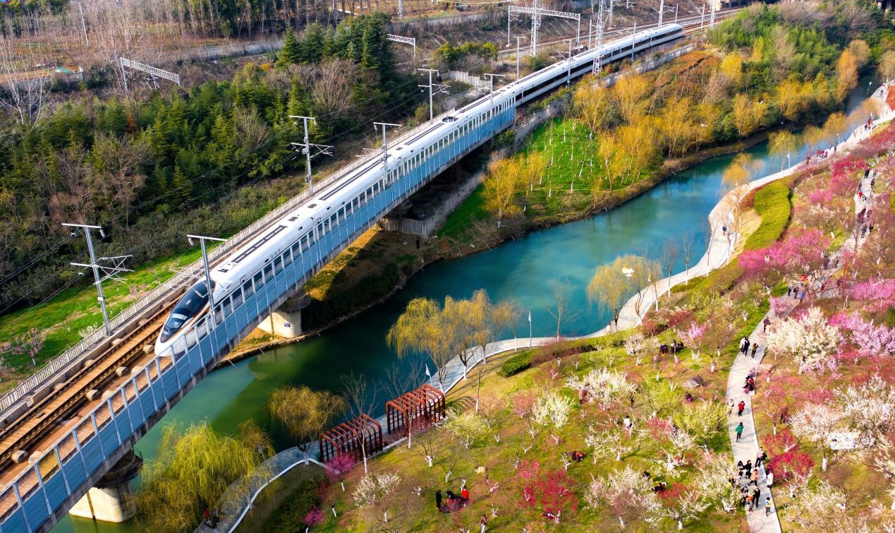 China to keep large-scale railway construction in next five years: NPC deputy