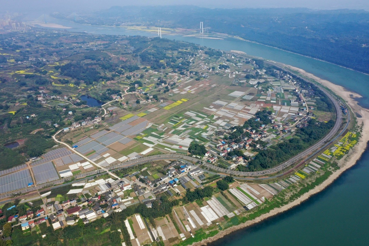 China builds over 5.59 mln hectares of high-standard farmland in 2020