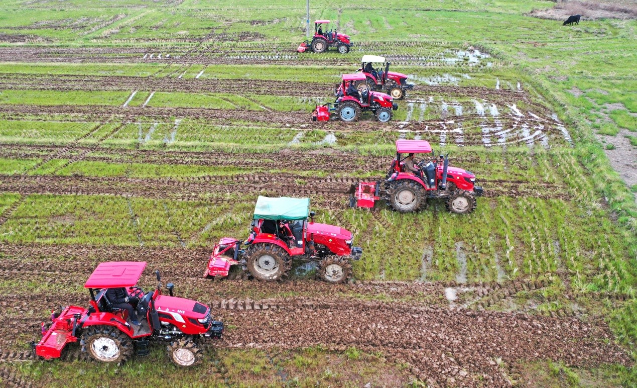 China builds over 5.59 mln hectares of high-standard farmland in 2020