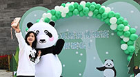 World's first interactive panda-themed museum opens in Sichuan