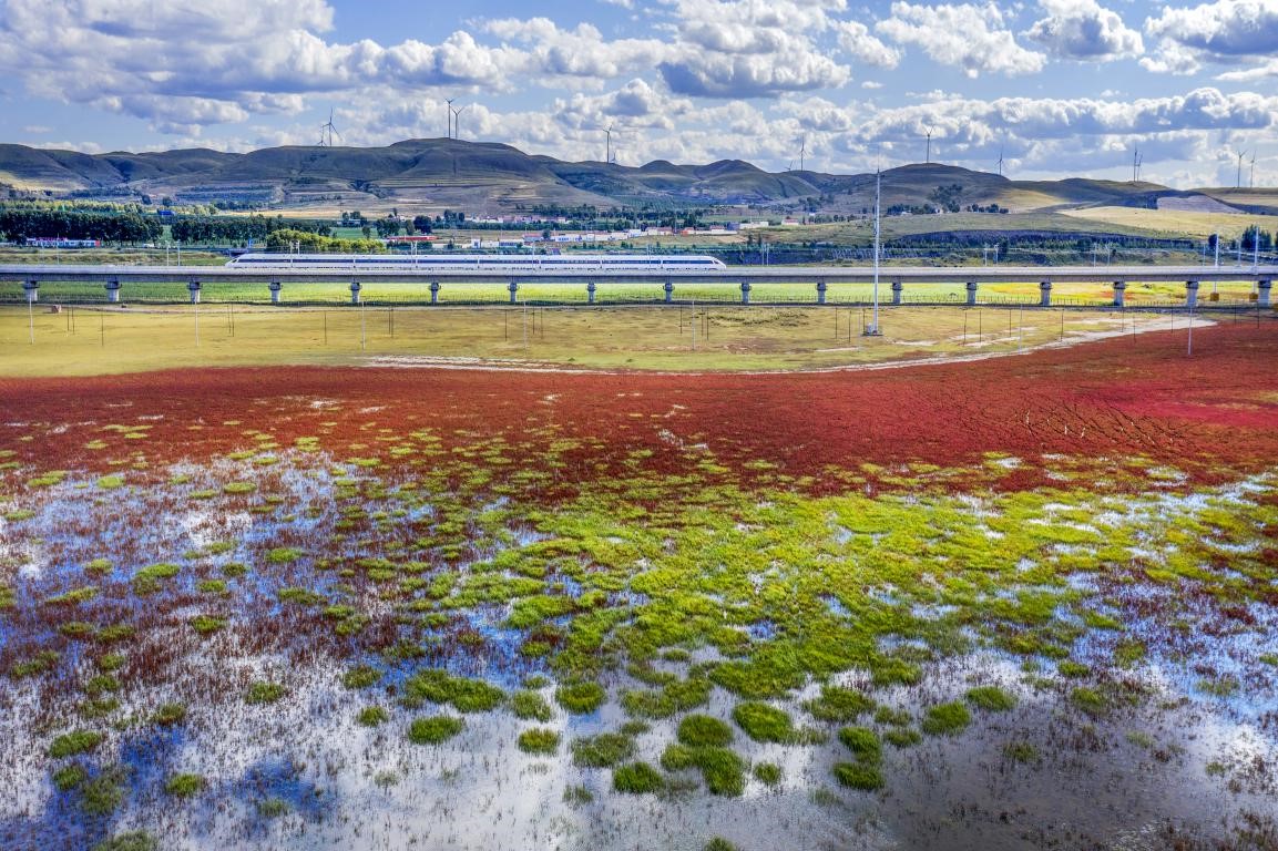 North China's Inner Mongolia sees notable achievements in green development