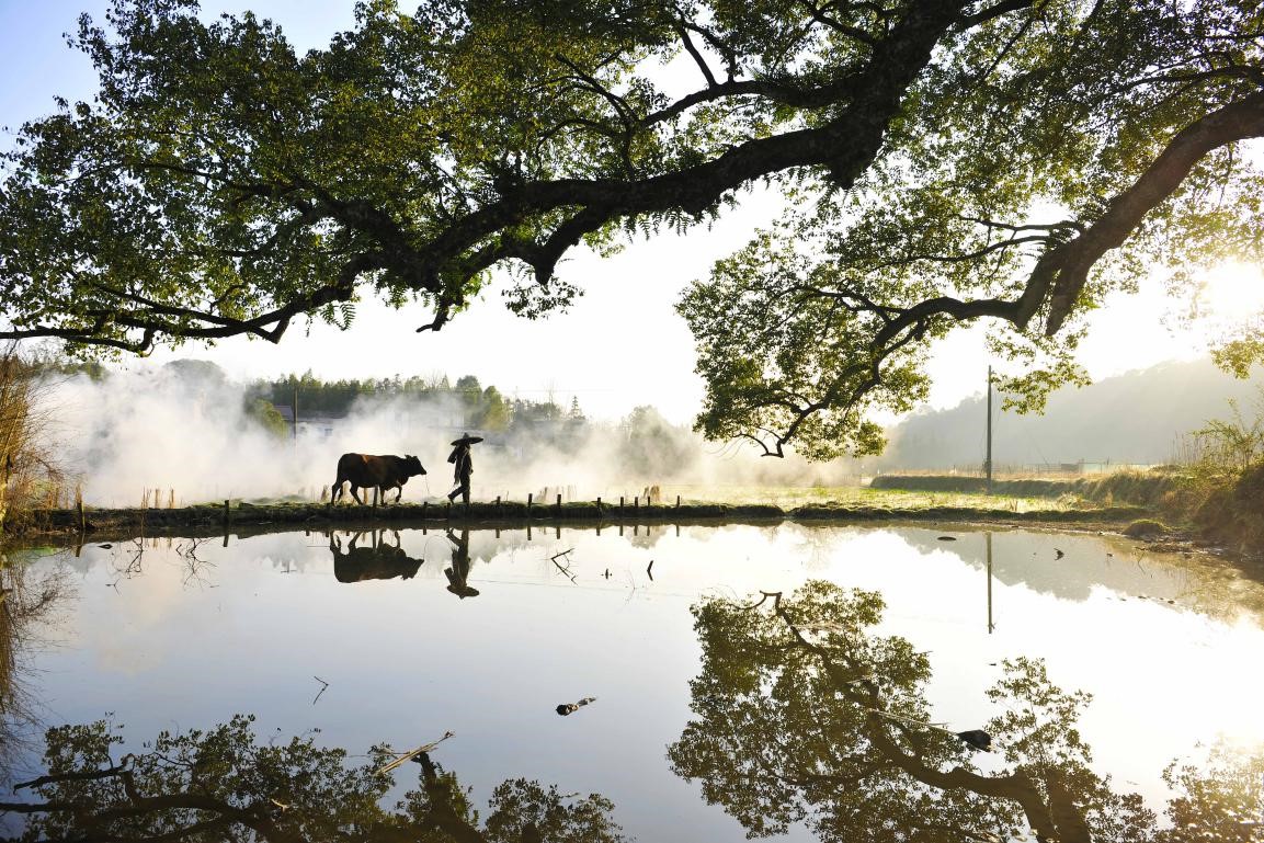 China strives to build stronger rural tourism