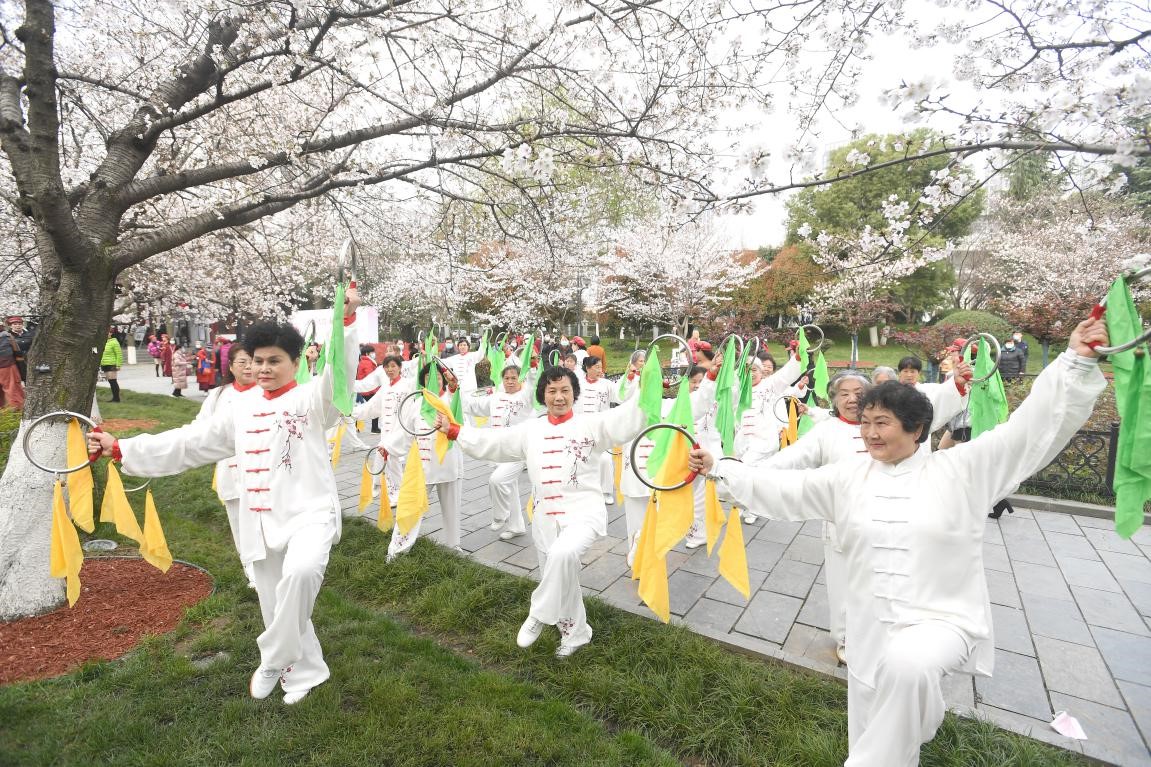 China’s Hubei province designs cherry blossom viewing activities to thank medical workers for dedication to COVID-19 fight