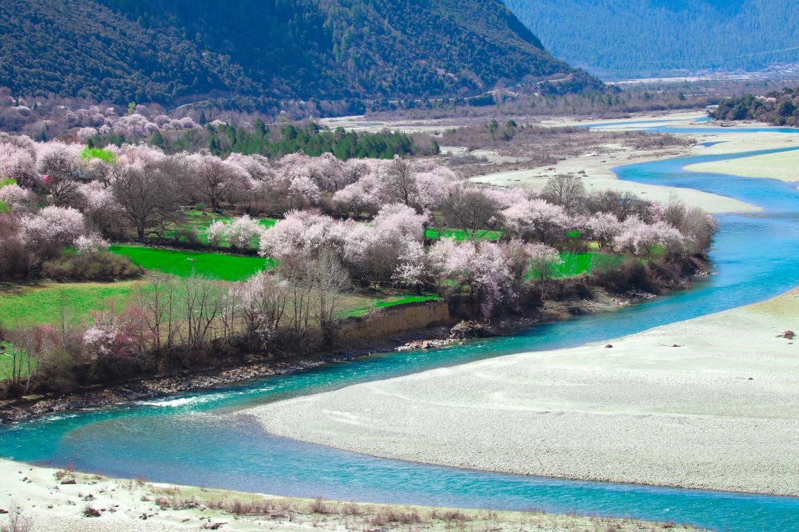 Tibet's Nyingchi dives deep in eco-tourism, embraces prosperous development