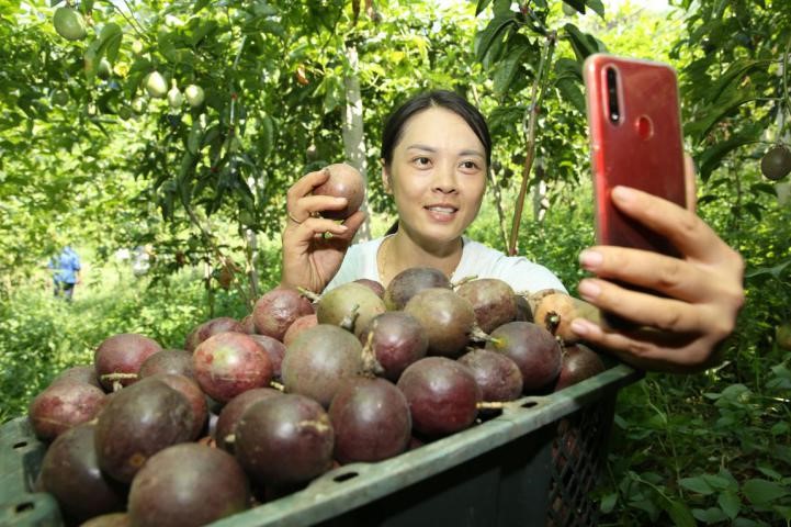 China sees 10.1 million people return or move to countryside to start businesses or pursue innovations in 2020