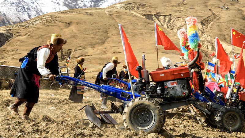 Traditional spring ploughing ceremony held in Lhasa, China’s Tibet