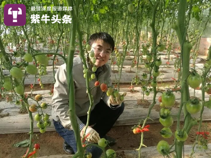 Chinese man becomes online celebrity after building Chinese–style greenhouse in Canada