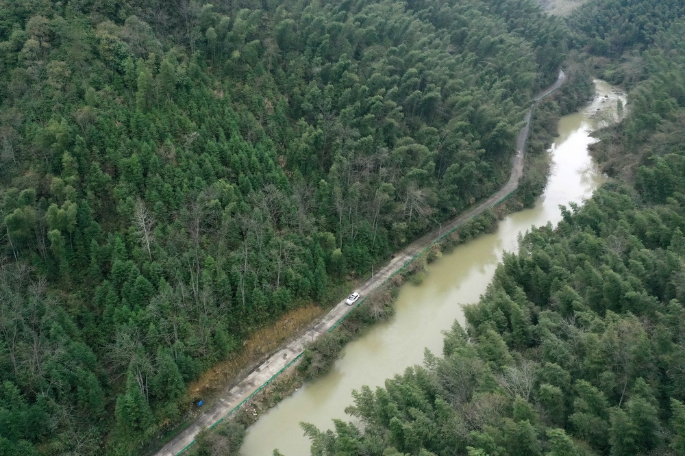 Young rangers devoted to protecting forests in east China's Jiangxi