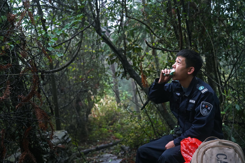 Young rangers devoted to protecting forests in east China's Jiangxi