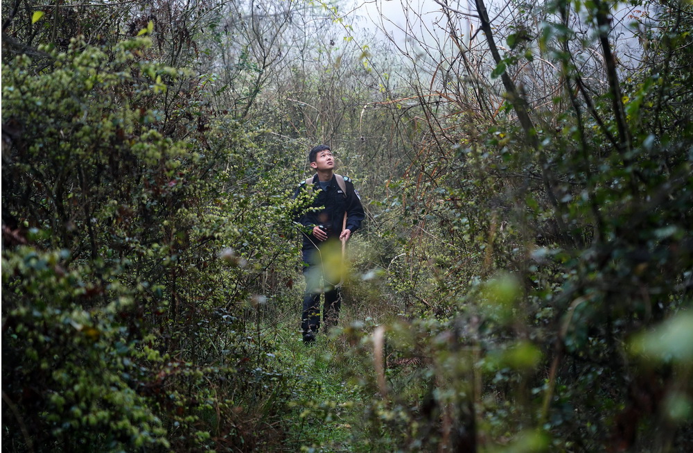 Young rangers devoted to protecting forests in east China's Jiangxi