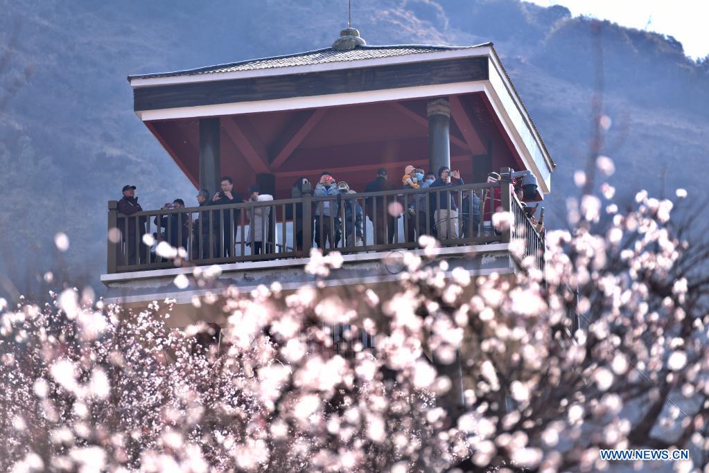 Spring scenery across China