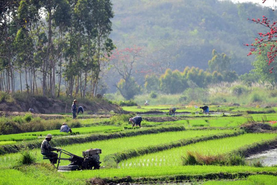 China creates green miracles through strenuous efforts