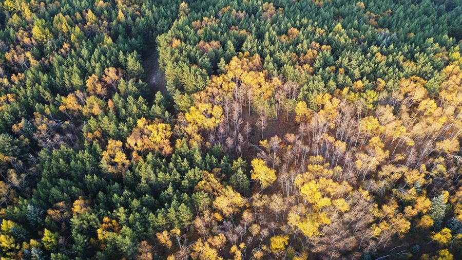 China creates green miracles through strenuous efforts