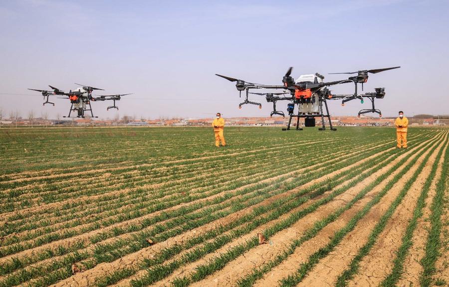 Policies, technologies contribute big part to China's spring farming