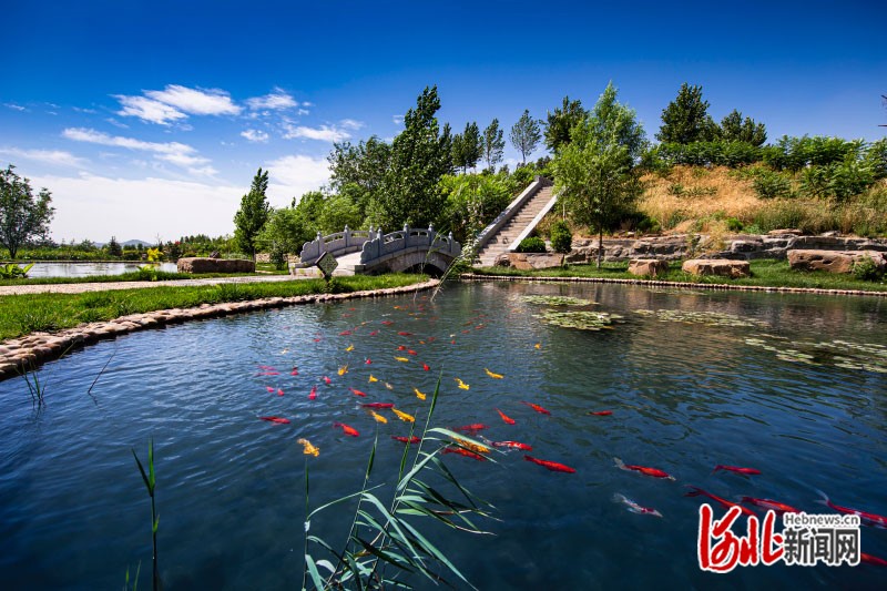 North China's Hebei province brings better life to citizens by promoting green transformation of traditional mines