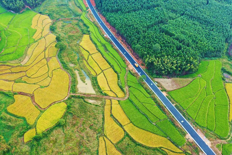 Tourist-oriented roads drive boom in tourism sector and prosperity for rural residents in China