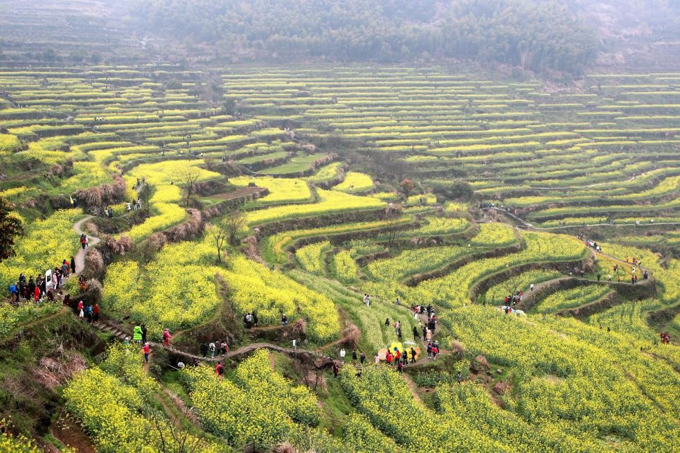 Villages in E China turn tourism resources into fortune, embrace vitalization