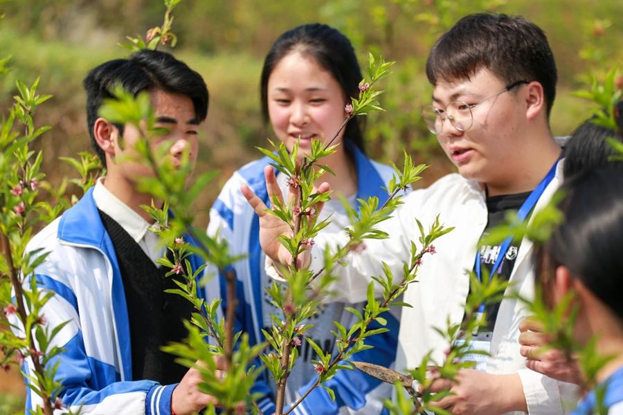 Technologies arm professional farmers in China