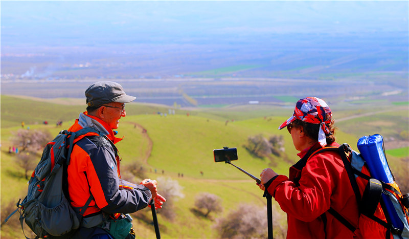 Blooming apricot flowers draw tourists to Xinjiang