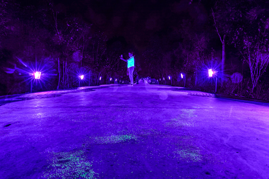 Fluorescent footpath glows under the night sky in Chongqing  