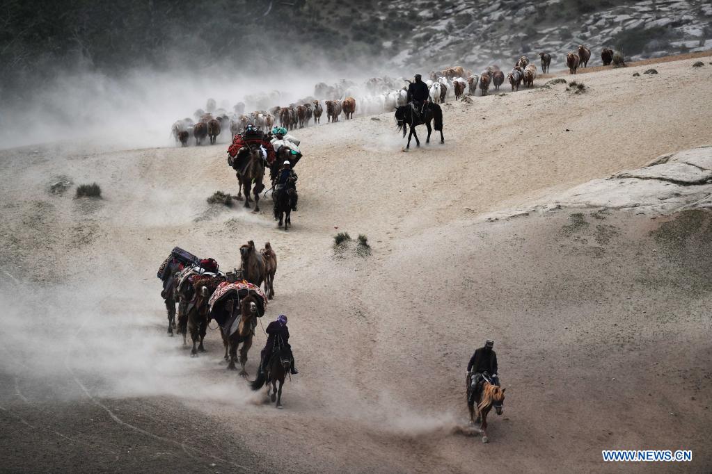 Ethnic Kazakh herdsmen move livestock to summer pastures in China's Xinjiang