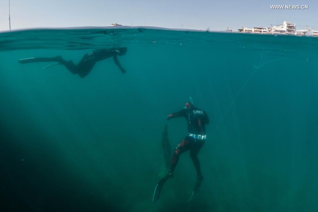Greece highlights marine plastic pollution on World Environment Day