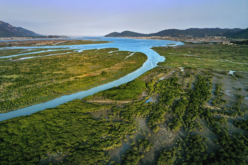 China vigorously promotes protection of marine biodiversity