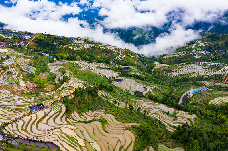 Terraced field in central China's Hunan boosts tourism, agriculture
