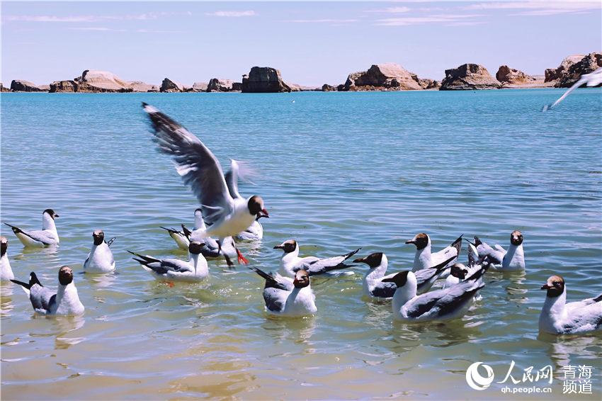 Unique landscape: Water Yadan Geopark in Qinghai province