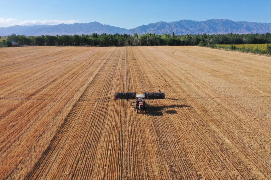 More harvests but less water consumption in China