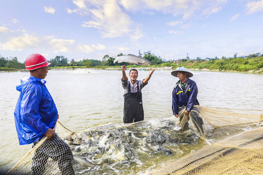 Liangping’s countryside scenes impress and refresh, fishery sector upgraded