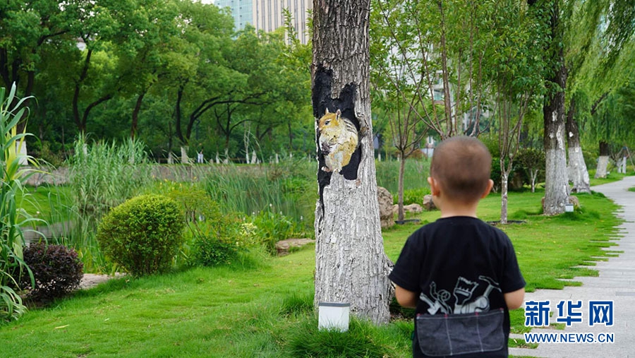 Park in Wuhan dresses tree wounds with paintings of cute animals