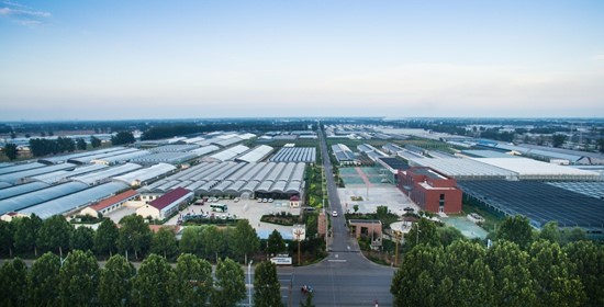 Shouguang in E China's Shandong boosts vegetable farming efficiency through smart greenhouses