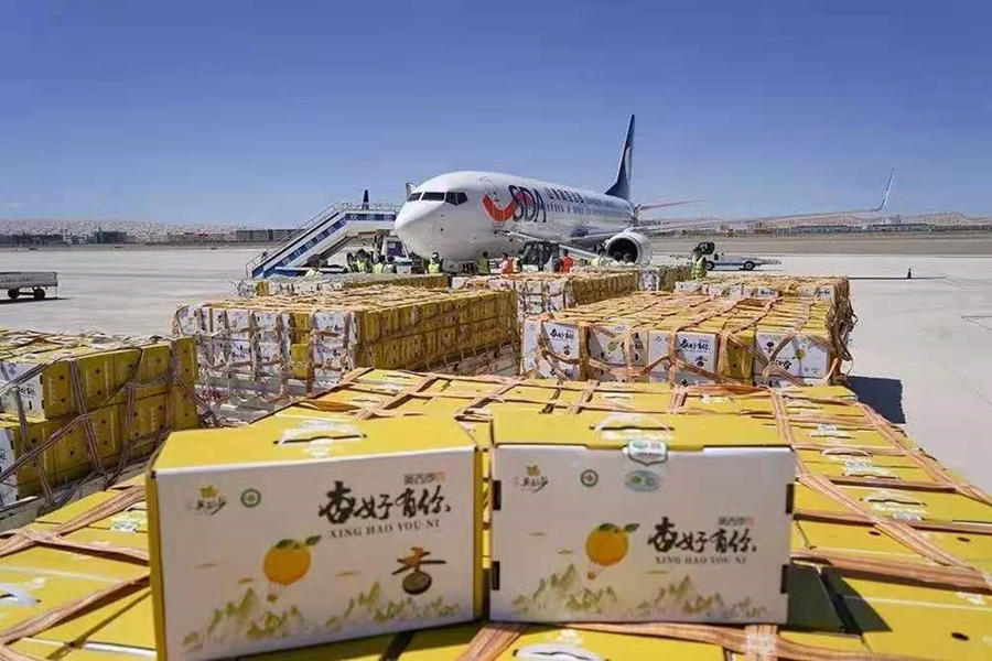 ‘Pairing assistance’ program in China introduces fruits from Xinjiang to rest of the country