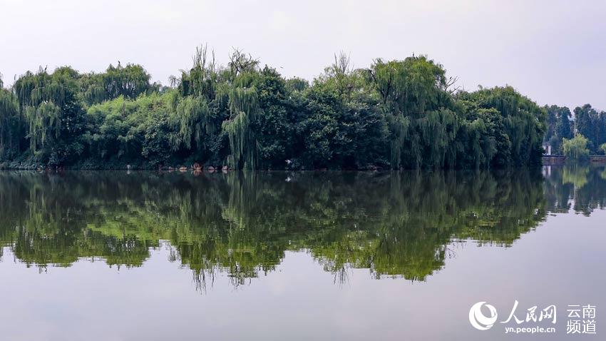 In pics: Park in SW China’s Yunnan becomes a paradise for birds, boasts rich biodiversity