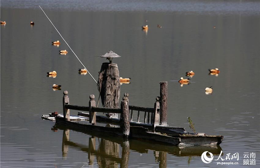 In pics: Come and watch 67 kinds of water birds at Tengchong in China’s Yunnan Province